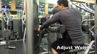 How To Use The Lateral Raise Machine  Exercise Video [upl. by Sherurd639]