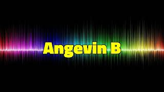 Angevin B  Kevin MacLeod 1 Hour [upl. by Patric]