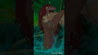 Can You Feel The Love Tonight From quotThe Lion Kingquot Disney100 Shorts [upl. by Perron]