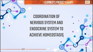 Coordination of Endocrine and Nervous System to Achieve Homeostasis [upl. by Nedgo807]