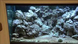 DIY LED Reef Aquarium Light  Part 1 [upl. by Nwahsek]