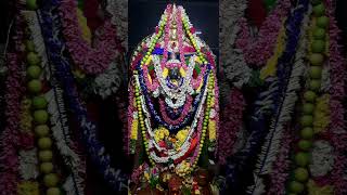 Sri Maha Vishnu Durgai Amman today evening Raghu kala Pooja Alangaram darshanam [upl. by Angeline955]