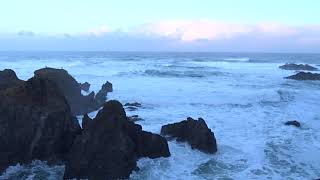 Surf Club First Light Zen Surf Report 452024 HD Geese on the Point [upl. by Tayler]