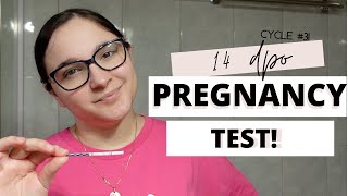 Live Pregnancy Test at 14 Dpo  Why do I keep testing  TTC Baby 3 Cycle 31 [upl. by Ahsirtap]