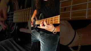 The Offspring  Pretty Fly For A White Guy Bass Guitar Cover bassline bassguitar [upl. by Origra48]