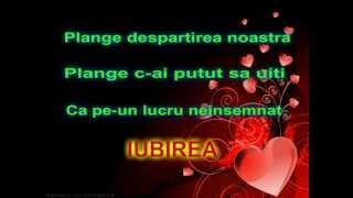 Aron Adrian  Plange o chitara lyrics [upl. by Monetta284]