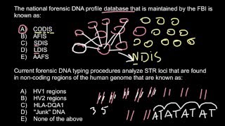 Forensic genetics DNA fingerprinting [upl. by Cordell576]