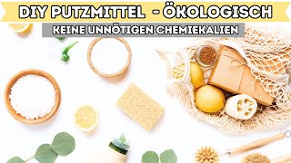 DIY  Putzmittel selbst herstellen OHNE CHEMIE amp unmengen an Geld sparen I Alenas Momlife [upl. by Llednahs]