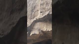 Ajanta cavesAjanta Ellorashortvideo [upl. by Kasey687]