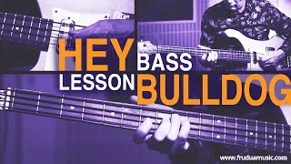 Hey Bulldog Beatles Bass Lesson  Galeazzo Frudua [upl. by Ahsircal553]