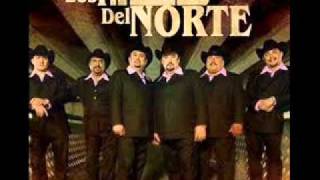 Los Traileros del Norte en Vivo 7 Amnesia [upl. by Madison]