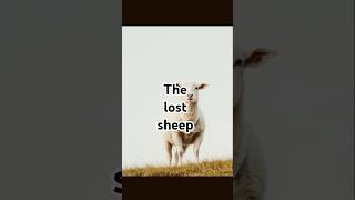 The lost sheep biblestories GuidedByFaith FaithOverFear GodIsGood WalkWithJesus ChristCentered [upl. by Esele]