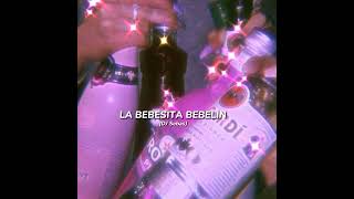 DJ Sebas  La Bebesita Bebelin speed up song [upl. by Otinauj]