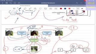 Deep Learning 47 TensorFlow Implementation of Image to Image Translation Network Cycle GAN [upl. by Cranston]