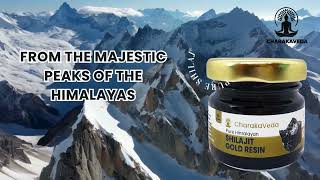 Charakaveda Pure Himalayan Shilajit Gold Resin [upl. by Hadrian]