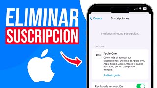 Como ELIMINAR SUSCRIPCIONES en iPhone Guia Completa [upl. by Ecille570]