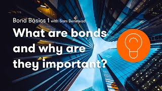 Bond Basics what are bonds and why are they important [upl. by Rexfourd691]