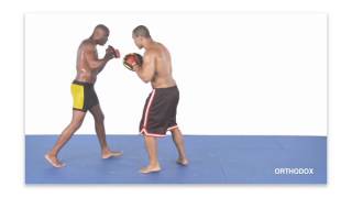 Anderson Silva Striking Combos For MMA With English Subtitles CD1 [upl. by Darooge]