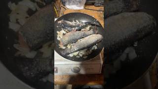 Fresh BROOK TROUT catch and cook Newfoundland Newfoundlandland brooktrout fishing [upl. by Sandi]