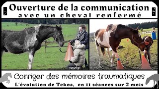 Ouverture de la communication avec un cheval renfermé  MON MEMOIRE [upl. by Berkie663]