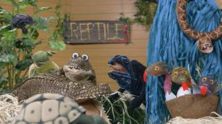 Classification Camp Vertebrate  Music Video of Amphibians Fish Birds Reptiles and Mammals [upl. by Atwood]