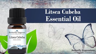 Litsea Cubeba Essential Oil [upl. by Llorrad]