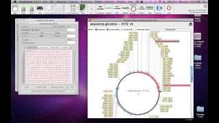 Import DNA into Serial Cloner software [upl. by Hollis803]