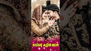 രാവിൻ്റെ കൂട്ടിൽ ഞാൻ  Raavinte Koottil Njan  Mppilappatukal  Audio Song shorts malayalamalbum [upl. by Assetak]