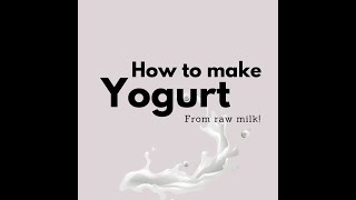 HOW TO MAKE YOGURT FROM RAW MILK II FREE EBOOK IN DESCRIPTION [upl. by Chirlin]