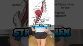 Strengthen Your Hip Flexors With These 3 Simple Exercises Now physio hipflexor glutes gymgirl [upl. by Alahsal788]