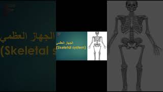 أجهزة الجسم المختلفة اكسبلور تمارين Shorts anatomy [upl. by Chesney273]