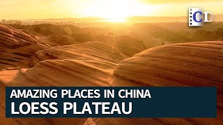 Loess Plateau a Land Formed by the Blowing Dust  Amazing Places in China [upl. by Mcilroy773]