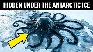 What Scientists Just Discovered at the Antarctica Terrifies the Whole World [upl. by Eniarol]