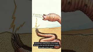 TERRIFYING MONSTER The MONGOLIAN DEATH WORM [upl. by Darees]