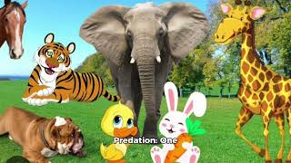 Ecosytem for Kids  Preschool  Kindergarten  Grade 1 Grade 2 Grade 3 Grade 4 Grade 5 Class 8 [upl. by Cypro680]