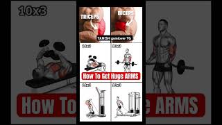 🏋️‍♂️🏋️‍♂️♥️Powerful Biceptricep all exercise tips💯😘💪 tanieh gymlover TG youtubeshorts [upl. by Corron540]