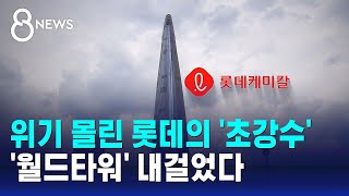 위기설 롯데 그룹 상징 월드타워 담보로 내놨다  SBS 8뉴스 [upl. by Anassor]