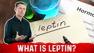 What is Leptin Explained By DrBerg [upl. by Larual]