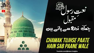 Chamak Tujhse Pate Hain Sab Pane Wale  New Naat Sharif 2023 [upl. by Ioved]