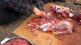 Using a very large Ulu to process caribou meat for drying [upl. by Ellerol]