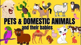 Domestic Animals And Their Young Ones  Domestic Animals Sounds  Pets And Their Young Ones [upl. by Gilder]