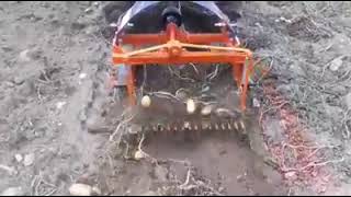 Arracheuse pomme de terre micro tracteur [upl. by Awra]