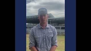 Ballarat Sheep Market Report Video 5112024 [upl. by Oileve]