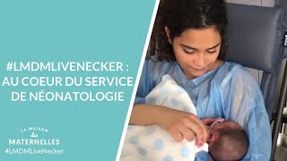 LMDMLiveNecker  au coeur du service de néonatologie  La Maison des maternelles LMDM [upl. by Suirada921]