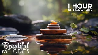 1 HOUR of Relaxing SPA MUSIC No Ads  Water Sounds Therapy [upl. by Cirederf306]