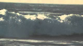 ROB MACHADO BOARD EAT BOARD 20 [upl. by Ardnassac]