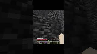 Watch Until The End shorts minecraft [upl. by Ojoj692]