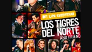 tigres del norte ft paulina rubio golpes en el corazon [upl. by Aklim361]