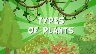 TYPES OF PLANTS  Educational Videos for Kids [upl. by Eitisahc]