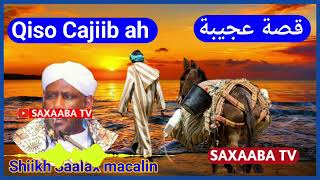 Qiso Cajiib Shiikh Saalax macalin cabdulahi [upl. by Droffats]